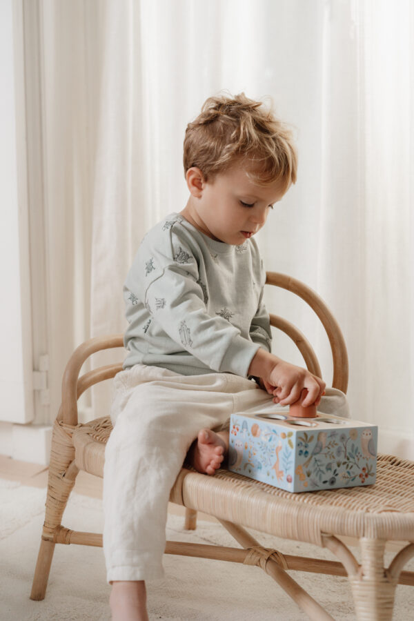 Shape Sorter - Forest Friends FSC